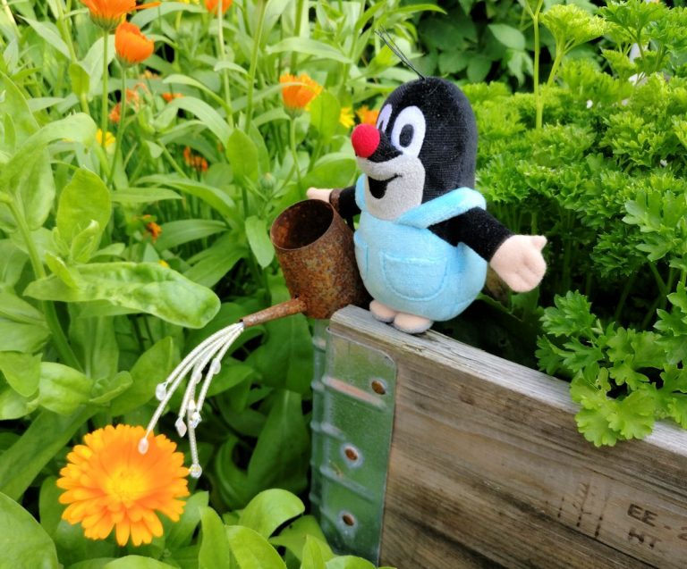 Minä ja puutarha – kymmenen faktaa