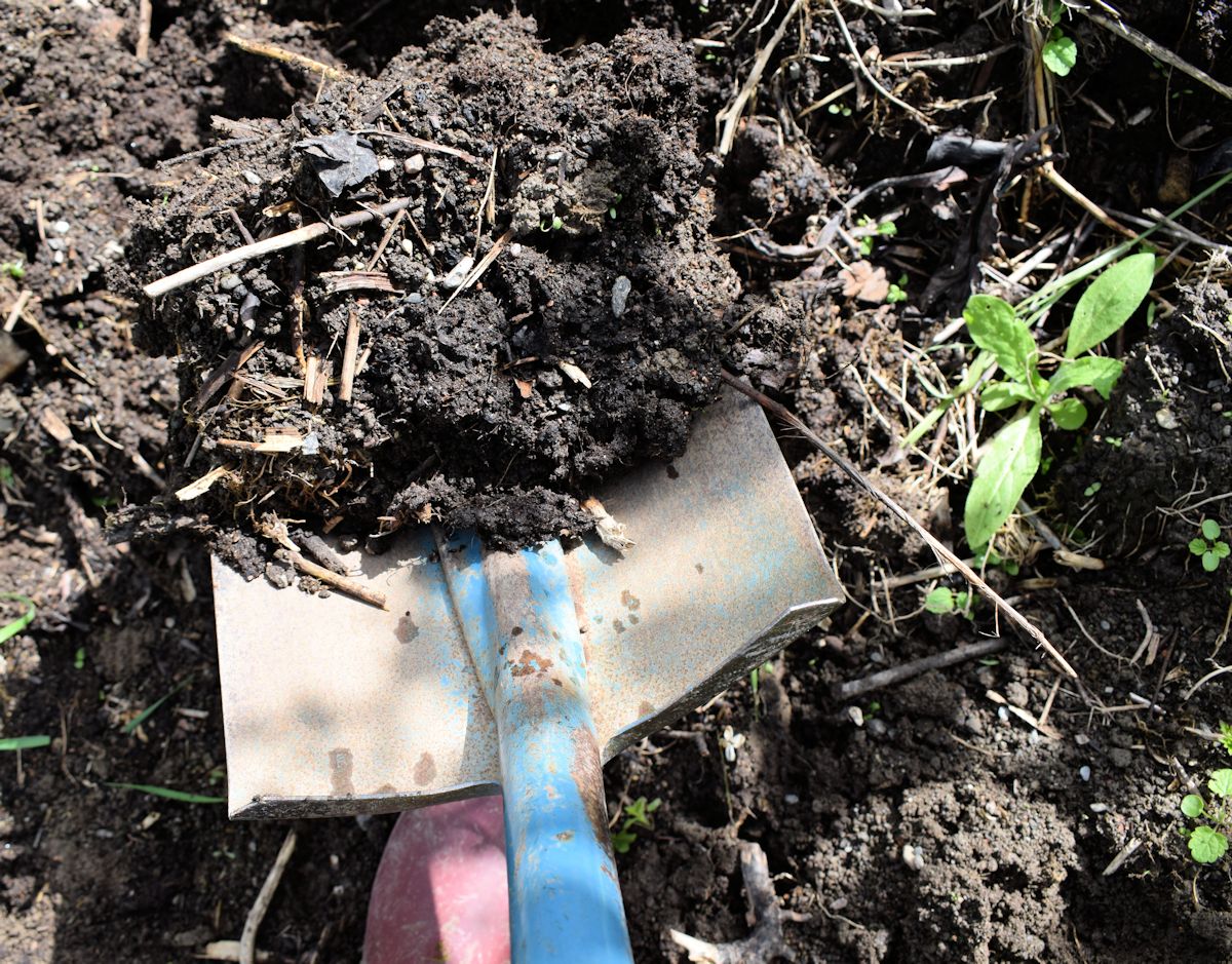 Kompostimullan lapiointia.