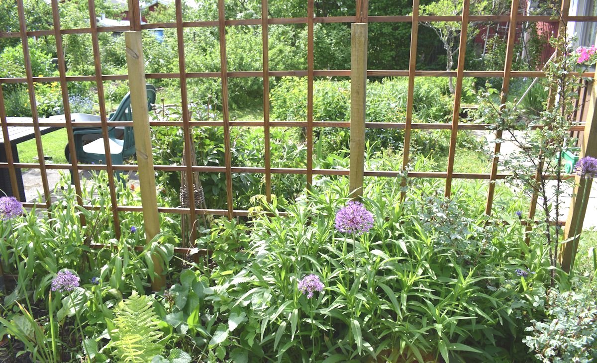 näkösuoja säleikkö kukkapenkki