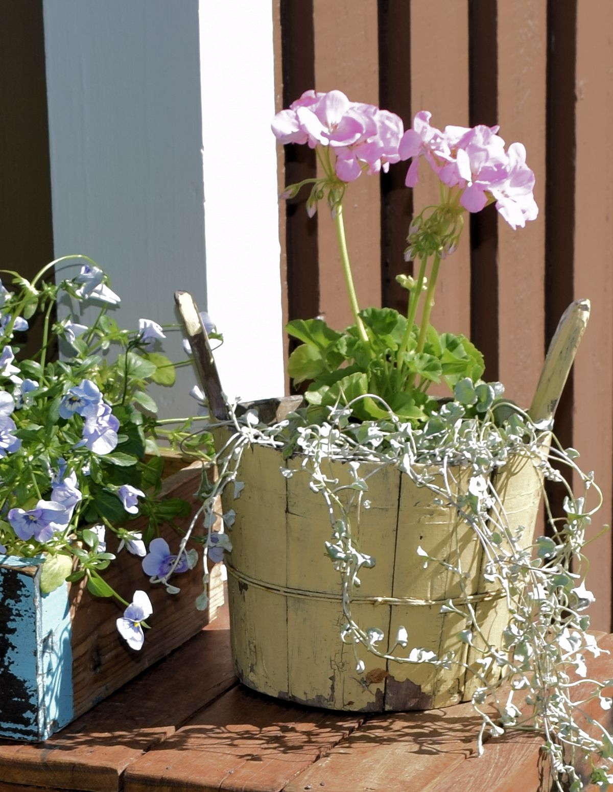 Rustiikkinen vanha puinen istutusastia.