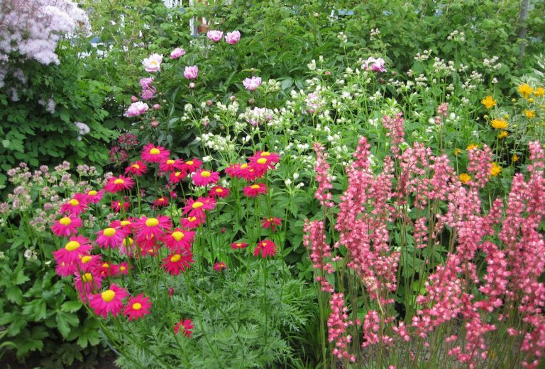 Puutarhakierroksella siirtolapuutarhassa