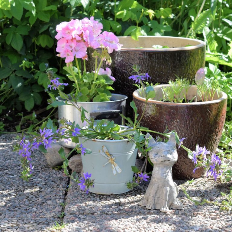 Kesäkukkapäivitystä