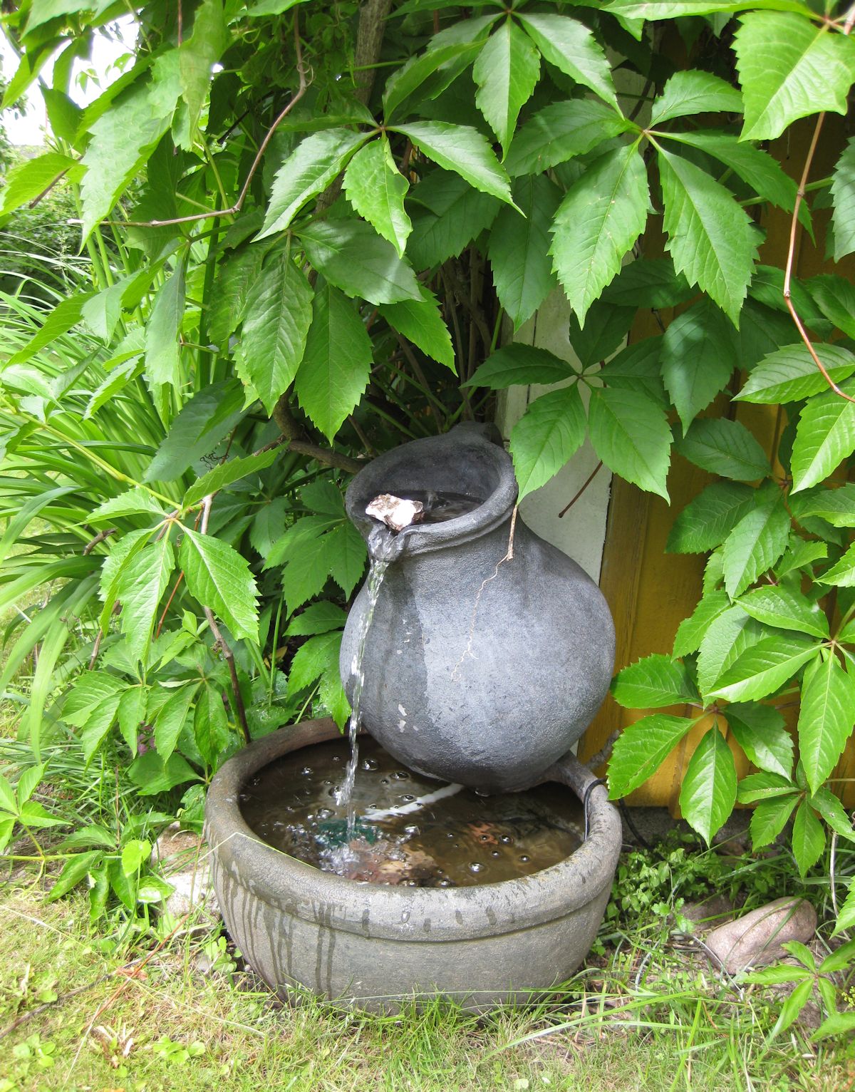 Pieni ruukku vesiaihe.