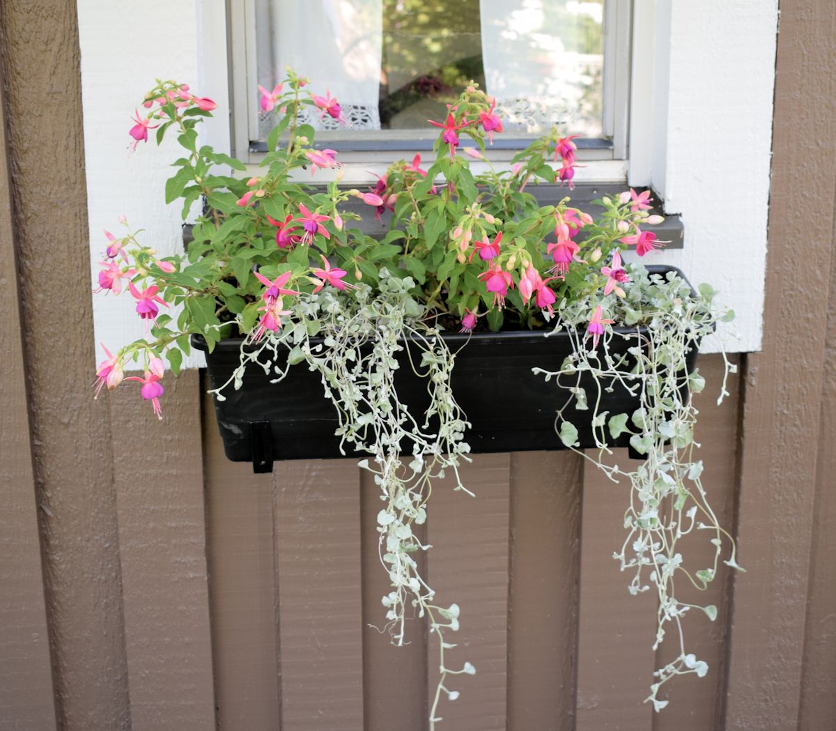 Verenpisara ja hopeaputous laatikossa.