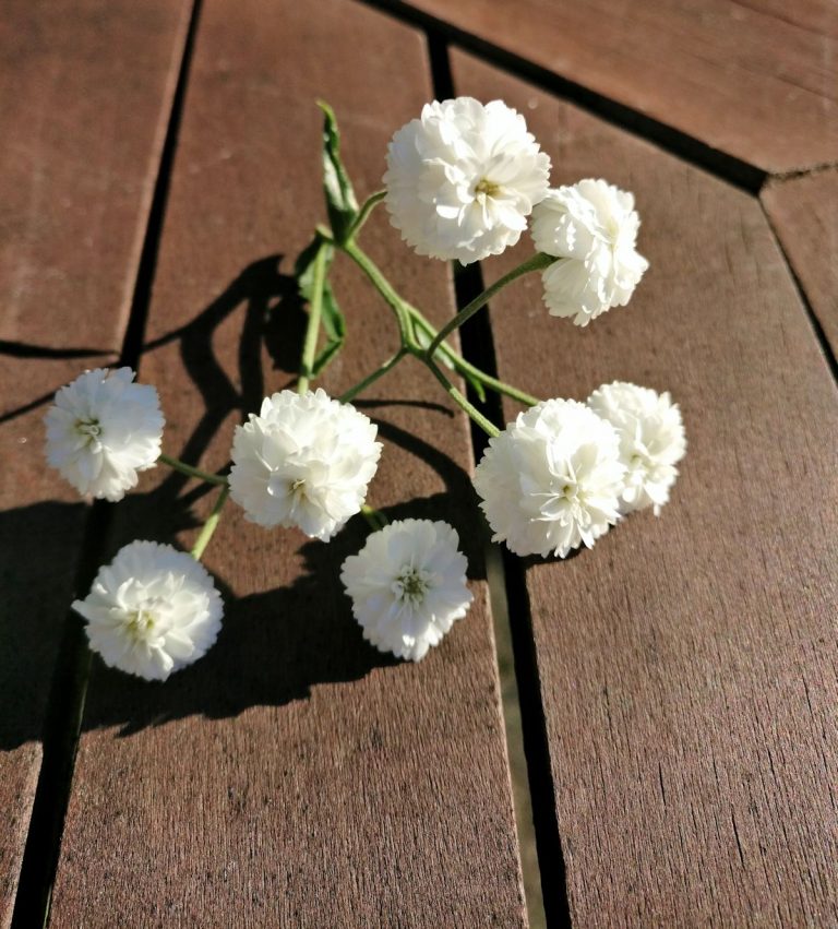 Valkoinen oli hetken taas nimetön