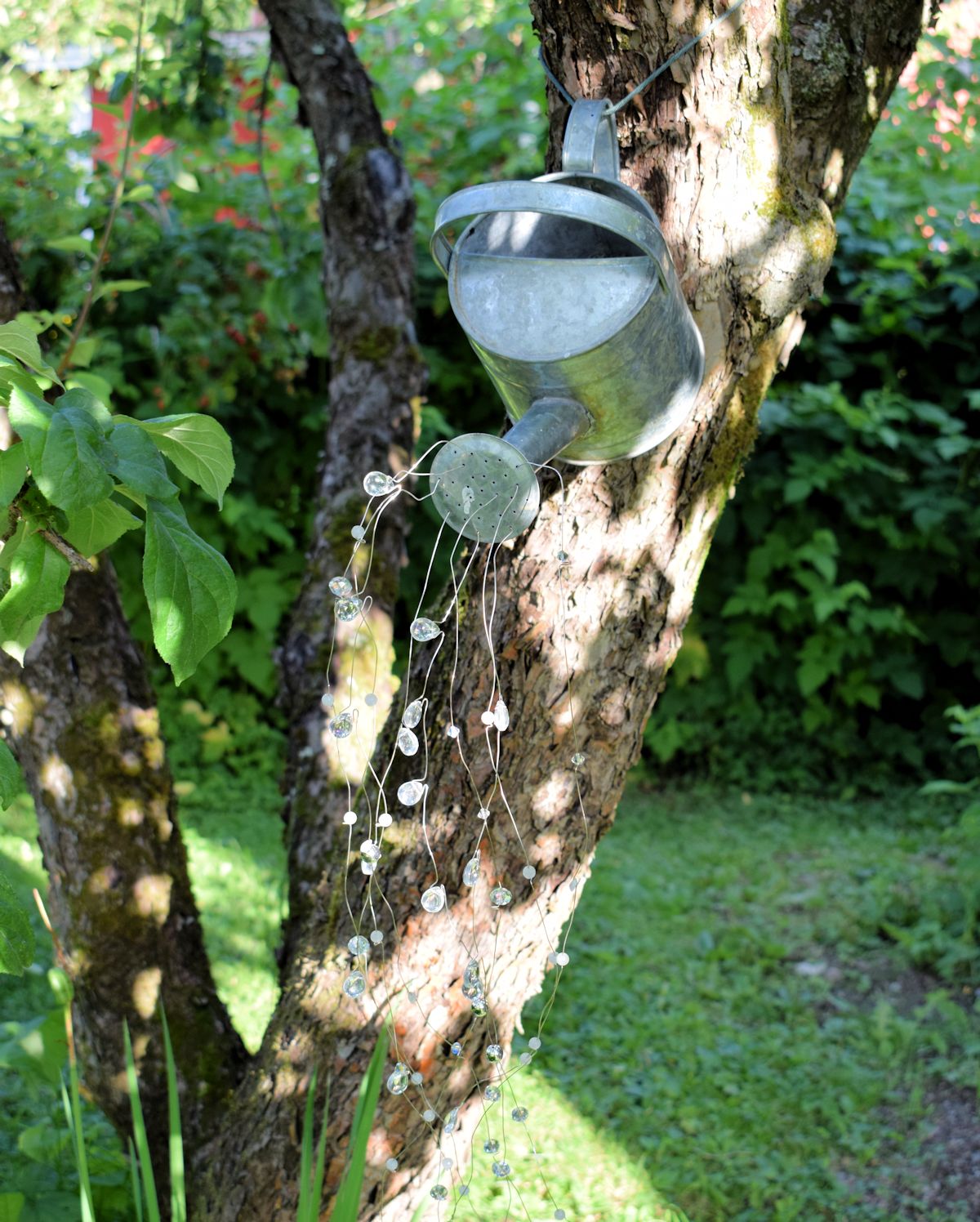 Sinkkinen kastelukannu omenapuussa.