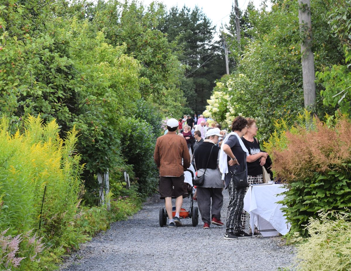 Siirtolapuutarhan kapeat tiet.