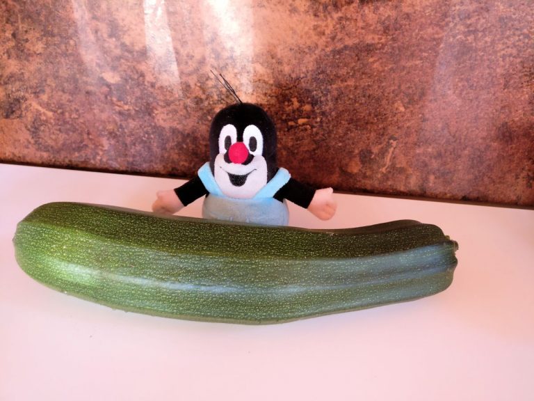 Satokausikalenteri – Spagettia kesäkurpitsasta