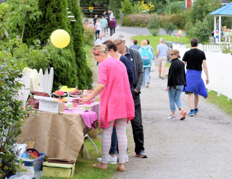 Päivä Puutarhassa -tapahtuma Litukan siirtolapuutarhassa