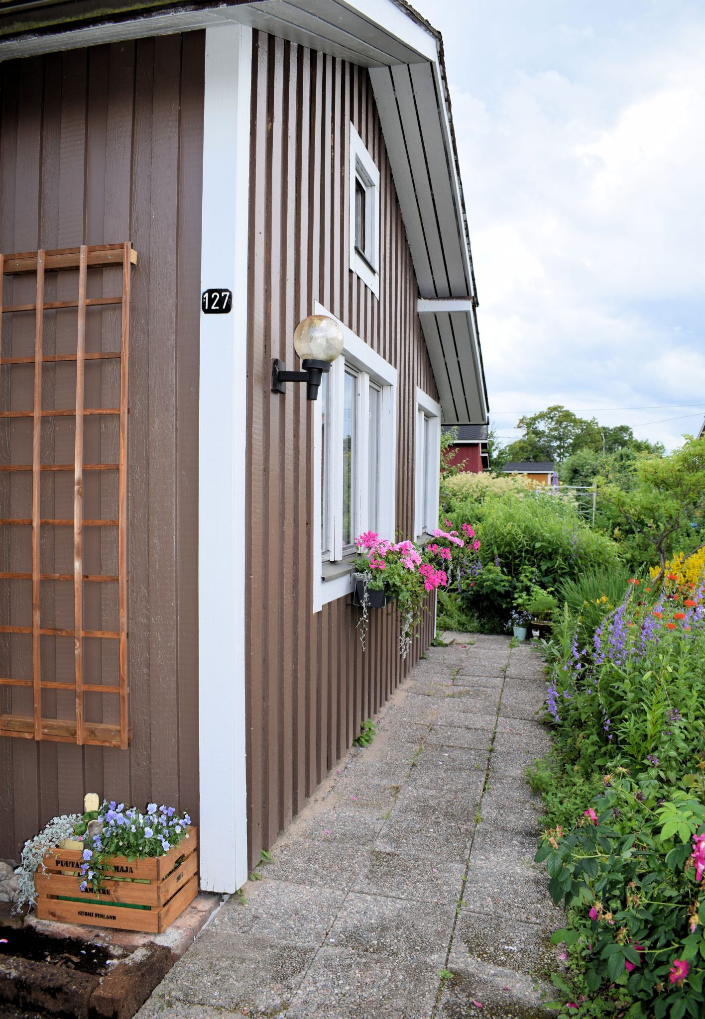 Siirtolapuutarhamökin kesäkukat