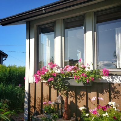 Siirtolapuutarhamökillä.