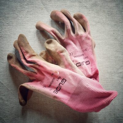 Yhteisötyö siirtolapuutarhassa.