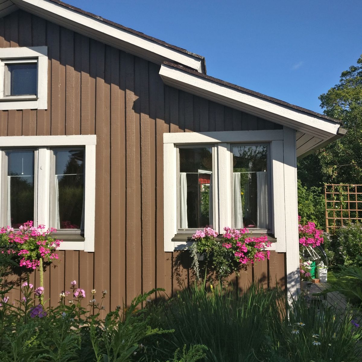 Pelargoniat ruskean puutarhurin majan ikkunalla.