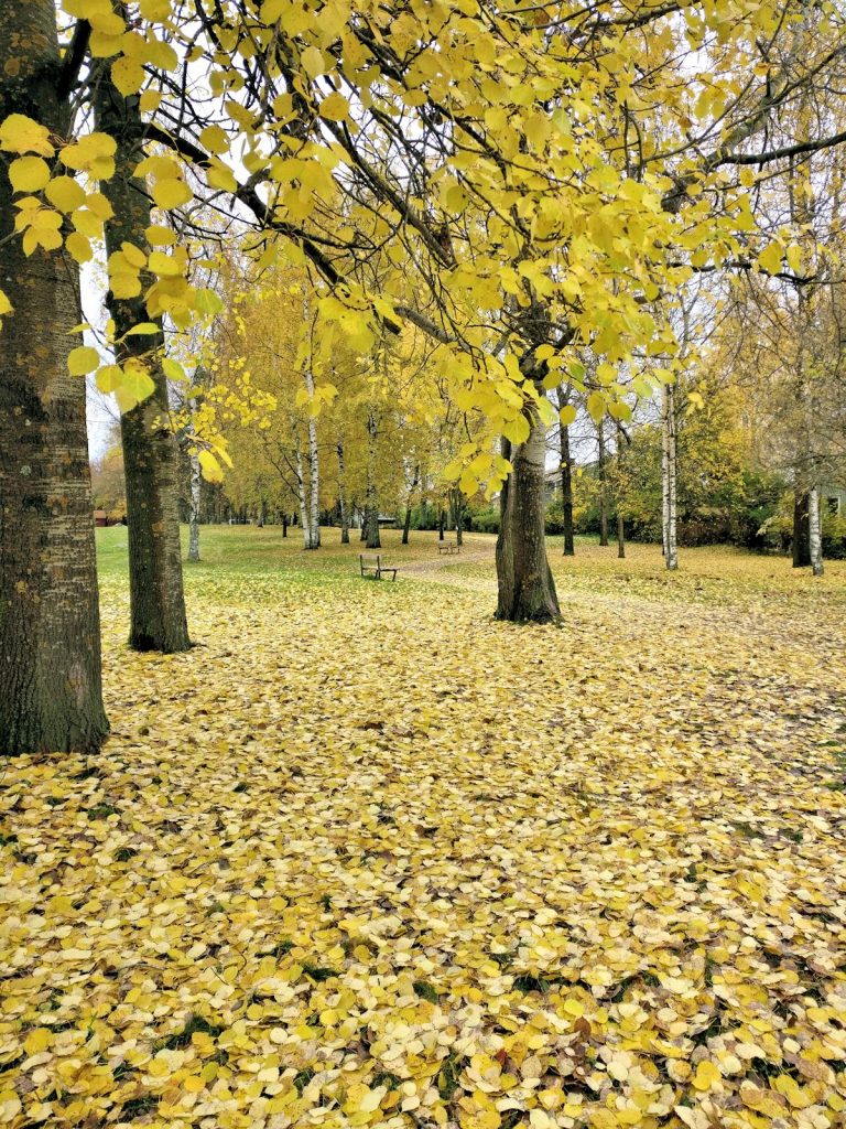 Keltainen matto ja värikäs sipulimatto kevääksi