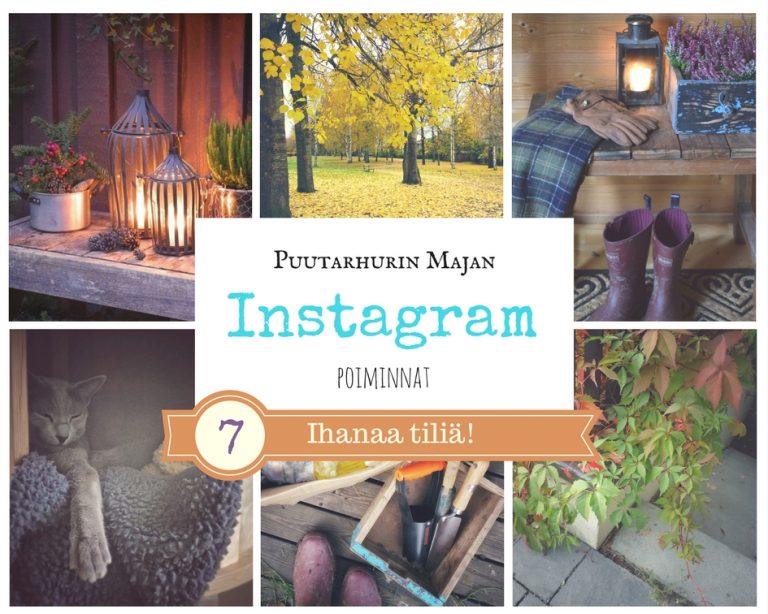 7 ihanaa Instagram tiliä