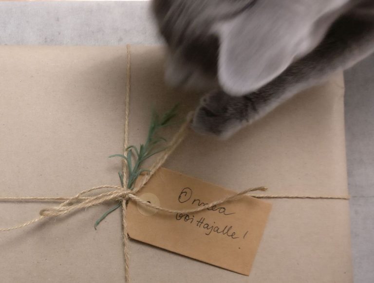 Iippa arpoi kissamaisen paketin