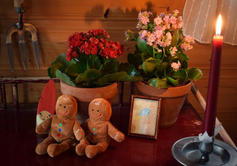 Joulutunnelmaa siirtolapuutarhamökillä