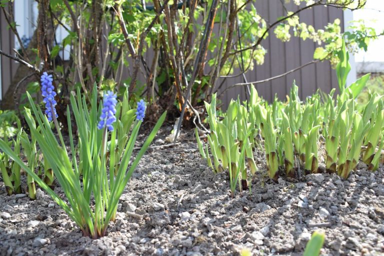 Likaiset ikkunat ilahduttavat – Huhtikuu haaste