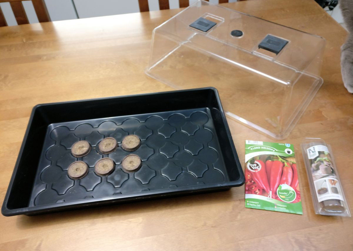 chilinsiemenet ja pienoiskasvihuone