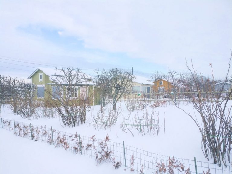 Talvinen siirtolapuutarha