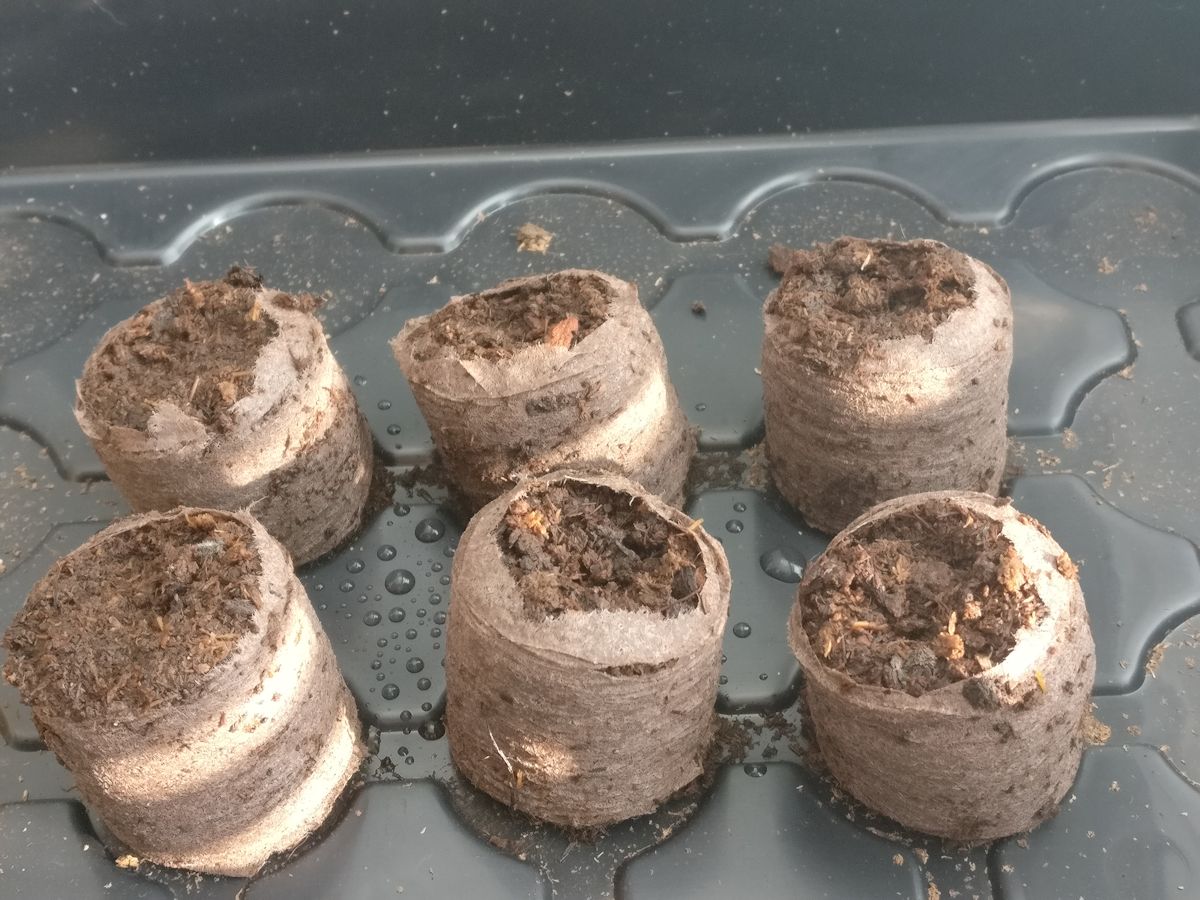 Kastellut turvebriketit