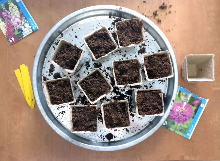 Kasvusammalta ja kukkakylvöjä