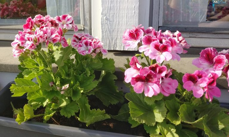 Voittaja on arvottu!