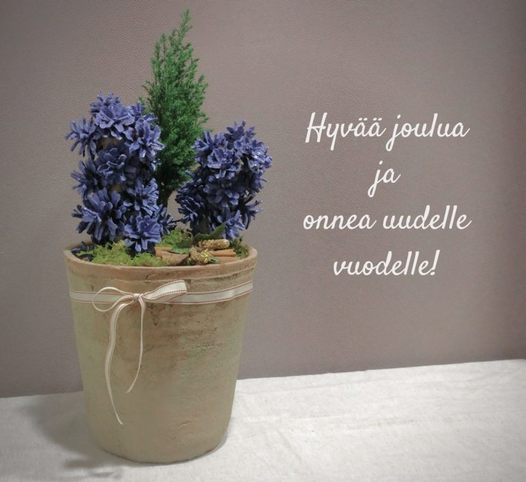 Hyvää joulua!