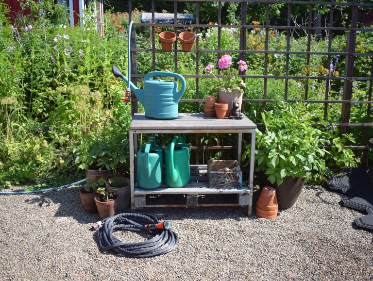 Siirtolapuutarhassa juoksee kesävesi